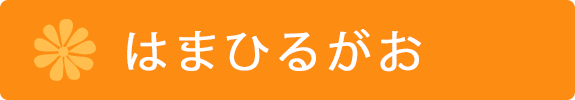 はまひるがお